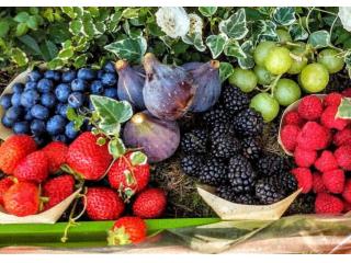 Gourmet básicos de España