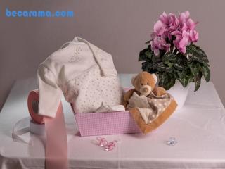 Canastillas para bebés y recién nacidos de menos de 100 €. Comprar canastillas para recién nacido y bebés online.