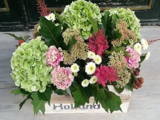 Centros de plantas. En becarama podrás preparar tus centros de plantas ideales para regalar en diferentes celebraciones