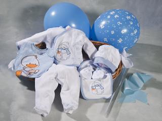 Cestas para bebés y recién nacidos. Regala cestas para bebés y recién nacidos en nuestra tienda online, la forma más cómoda de comprar.