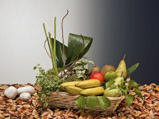 Cestas de frutas para regalar. Cestas de plantas para comprar de regalo para ese momento tan especial.