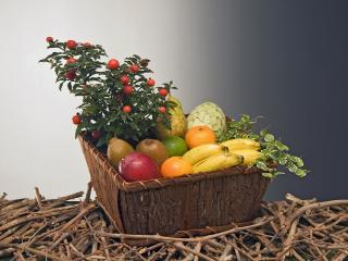 Cestas de frutas para regalar. Cestas de plantas para comprar de regalo para ese momento tan especial.
