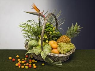 Cestas de frutas para regalar. Cestas de plantas para comprar de regalo para ese momento tan especial.