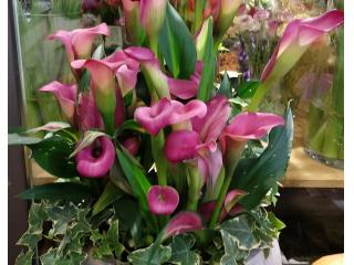 Otras presentaciones