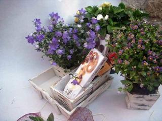 Otras presentaciones