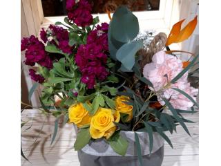 Otras presentaciones