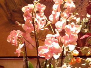 Otras presentaciones