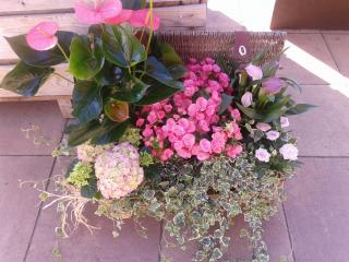 Otras presentaciones