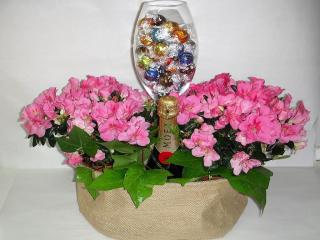 Otras presentaciones